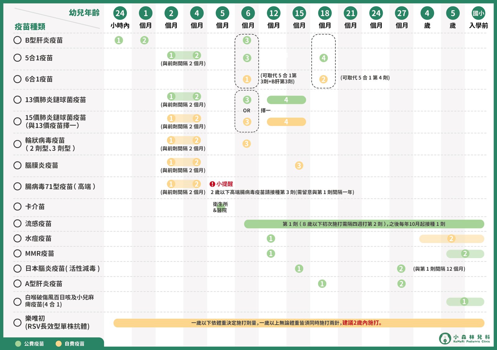 小森林兒科-公費疫苗和自費疫苗甘特圖-A5_20250108